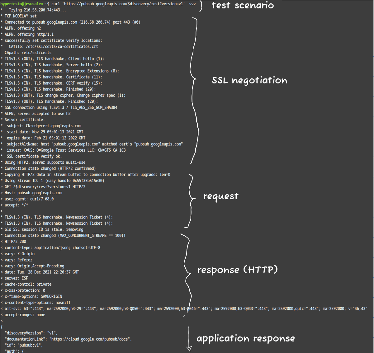curl-example